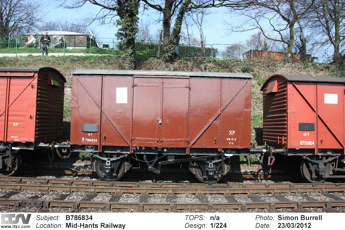 Extra Large Photo