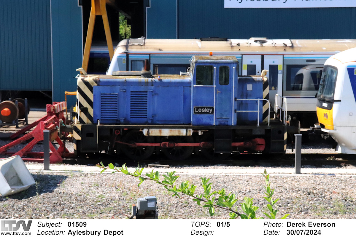 Extra Large Photo