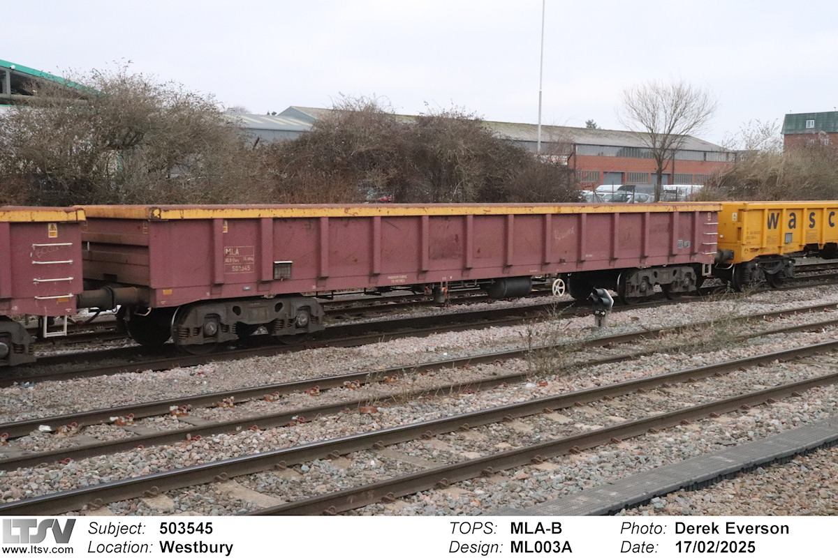 Extra Large Photo