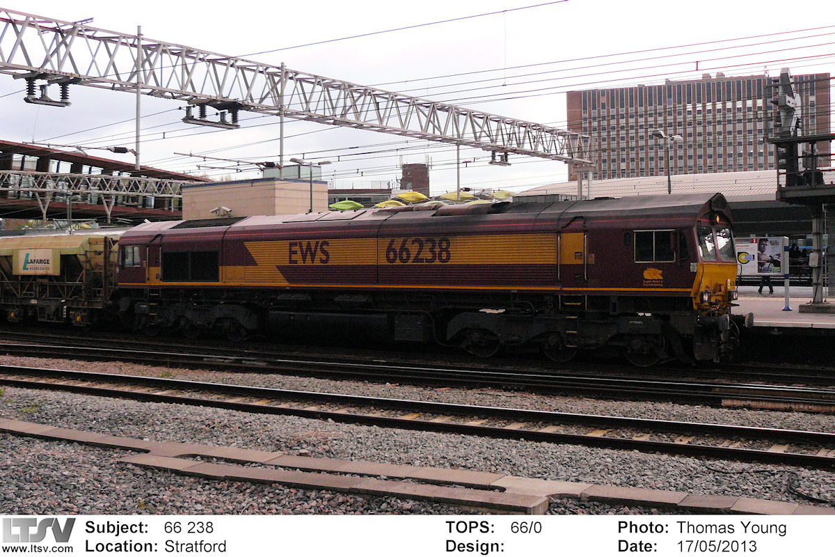 Extra Large Photo