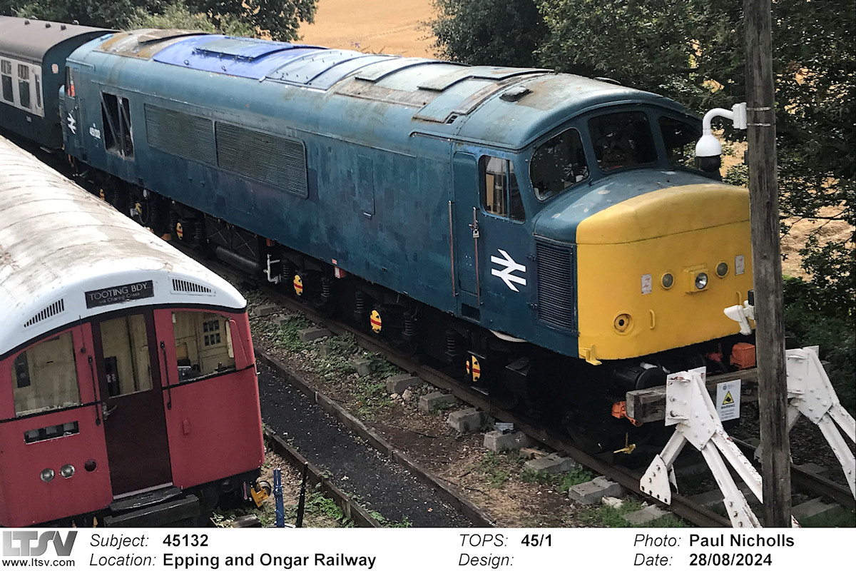 Extra Large Photo
